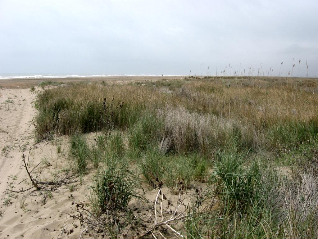 Parc Natural del Delta de l'Ebre